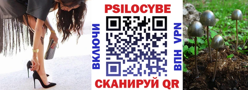 ОМГ ОМГ tor Старая Купавна Псилоцибиновые грибы ЛСД