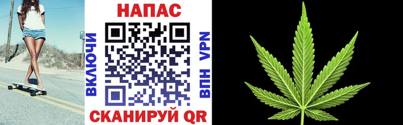 кракен   Старая Купавна  Бошки Шишки White Widow 
